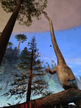 福井県立恐竜博物館に投稿された画像（2023/11/11）