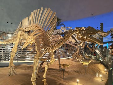 福井県立恐竜博物館に投稿された画像（2023/11/11）