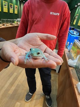 淡路ファームパーク イングランドの丘に投稿された画像（2023/11/12）