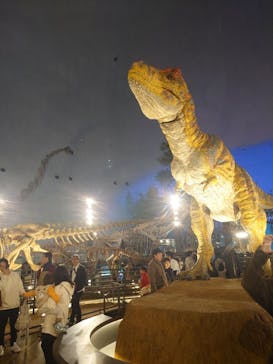 福井県立恐竜博物館に投稿された画像（2023/11/12）