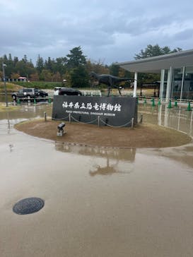 福井県立恐竜博物館に投稿された画像（2023/11/12）