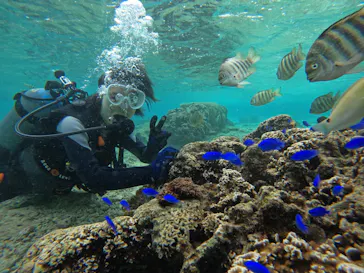 武藤潜水に投稿された画像（2023/11/12）