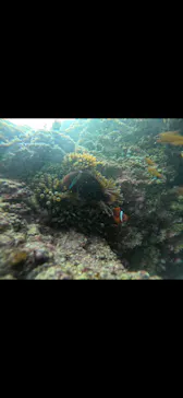 武藤潜水に投稿された画像（2023/11/12）