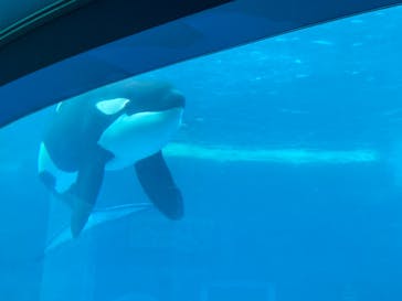 名古屋港水族館に投稿された画像（2023/11/12）