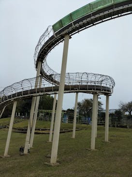 伊豆ぐらんぱる公園に投稿された画像（2023/11/12）