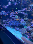 サンシャイン水族館に投稿された画像（2023/11/12）