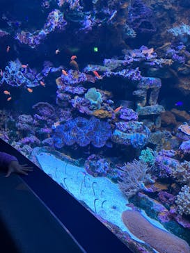 サンシャイン水族館に投稿された画像（2023/11/12）