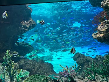 サンシャイン水族館に投稿された画像（2023/11/12）