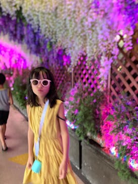 東京サマーランドに投稿された画像（2023/11/12）