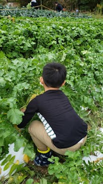 農業公園信貴山のどか村に投稿された画像（2023/11/12）