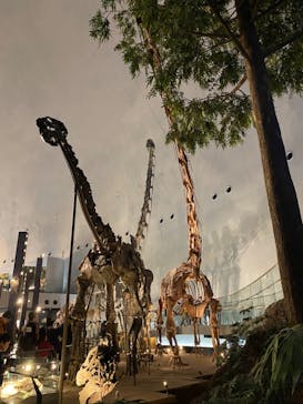 福井県立恐竜博物館に投稿された画像（2023/11/12）