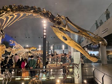 福井県立恐竜博物館に投稿された画像（2023/11/12）