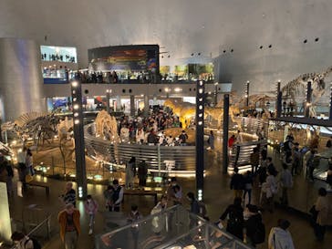 福井県立恐竜博物館に投稿された画像（2023/11/12）