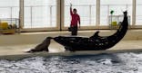 アクアワールド茨城県大洗水族館に投稿された画像（2023/11/12）