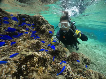 武藤潜水に投稿された画像（2023/11/12）