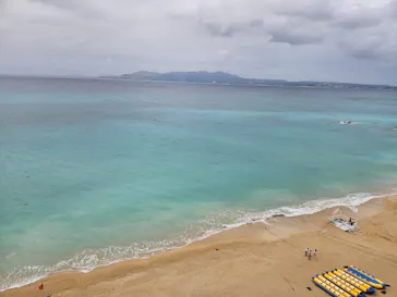 武藤潜水に投稿された画像（2023/11/12）