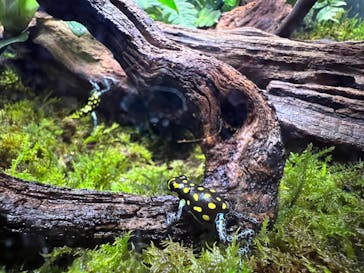 体感型動物園iZooに投稿された画像（2023/11/12）