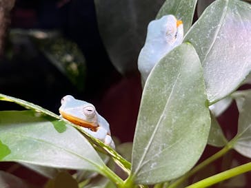 体感型動物園iZooに投稿された画像（2023/11/12）