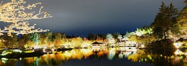 国営昭和記念公園 秋の夜散歩に投稿された画像（2023/11/12）