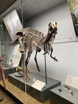 福井県立恐竜博物館に投稿された画像（2023/11/12）