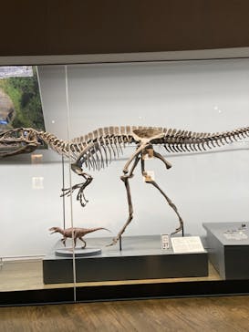 福井県立恐竜博物館に投稿された画像（2023/11/12）