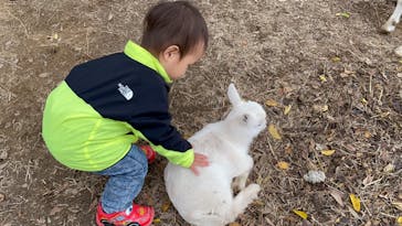 しろとり動物園に投稿された画像（2023/11/12）