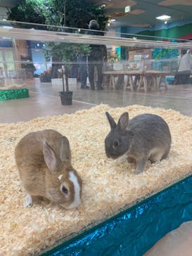 いきもの探検隊上尾に投稿された画像（2023/11/12）