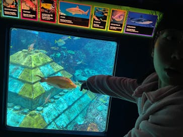 レゴランドⓇ・ジャパン・リゾートに投稿された画像（2023/11/12）