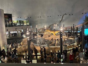 福井県立恐竜博物館に投稿された画像（2023/11/12）