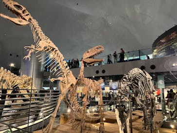 福井県立恐竜博物館に投稿された画像（2023/11/12）