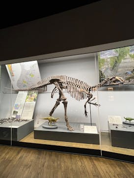 福井県立恐竜博物館に投稿された画像（2023/11/12）