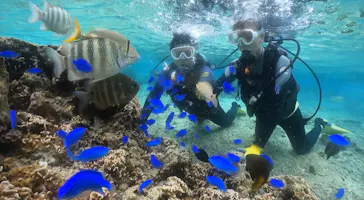 武藤潜水に投稿された画像（2023/11/12）