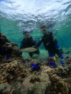武藤潜水に投稿された画像（2023/11/12）