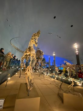 福井県立恐竜博物館に投稿された画像（2023/11/12）