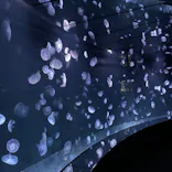サンシャイン水族館に投稿された画像（2023/11/12）