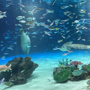 サンシャイン水族館に投稿された画像（2023/11/12）