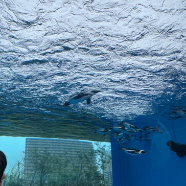 サンシャイン水族館に投稿された画像（2023/11/12）