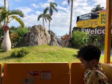 ナゴパイナップルパークに投稿された画像（2023/11/12）