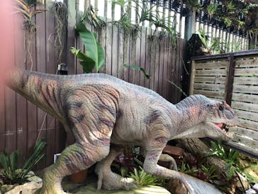 ナゴパイナップルパークに投稿された画像（2023/11/12）