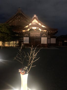 NAKED meets 二条城 2025 観月に投稿された画像（2023/11/12）