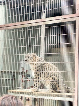 名古屋市東山動植物園に投稿された画像（2023/11/12）