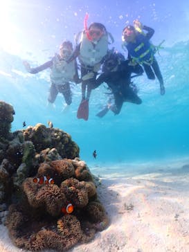 宮古島マリン GB QUESTに投稿された画像（2023/11/12）