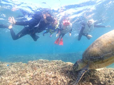 宮古島マリン GB QUESTに投稿された画像（2023/11/12）