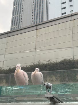 サンシャイン水族館に投稿された画像（2023/11/12）