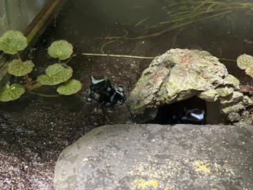 サンシャイン水族館に投稿された画像（2023/11/12）