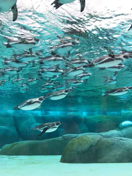 天王寺動物園に投稿された画像（2023/11/12）