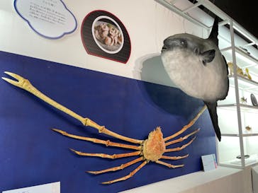 特別展「和食 ～日本の自然、人々の知恵～」に投稿された画像（2023/11/12）