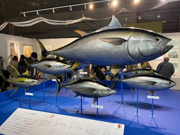 特別展「和食 ～日本の自然、人々の知恵～」に投稿された画像（2023/11/12）