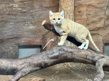 那須どうぶつ王国に投稿された画像（2023/11/12）