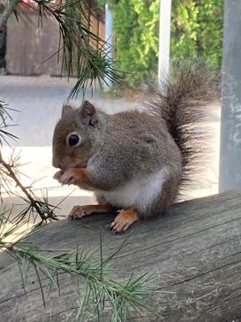 那須どうぶつ王国に投稿された画像（2023/11/12）